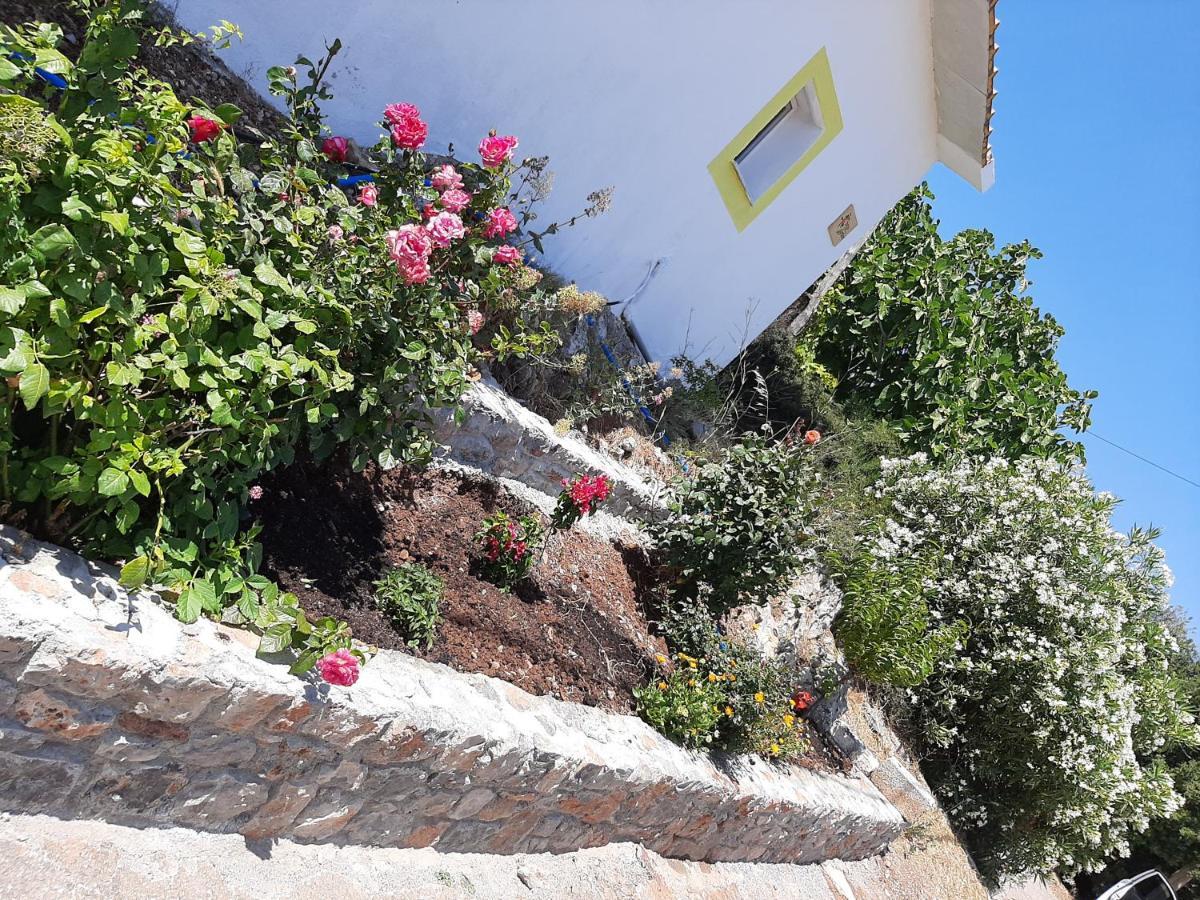 Vila Lemon Garden 1 Karidi Exteriér fotografie